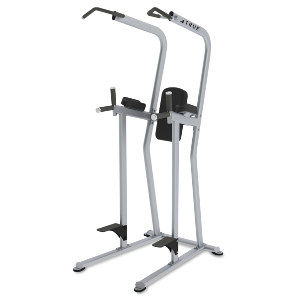 TRUE Knee Raise/Dip/Chin Station